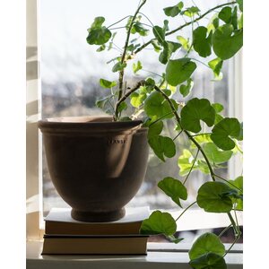 Ernst Jalallinen ruukku harmaanruskea VALITSE KOKO