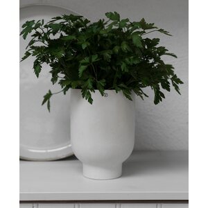 Ernst Pot 15 x 21 cm, natural white
