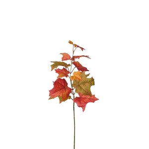 Mr Plant Vaahteran oksa 53 cm