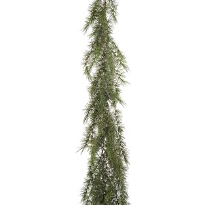 Mr Plant havuköynnös 180 cm