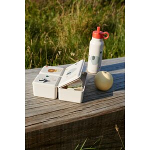 Liewood Driss Lunchbox - CHOOSE MODEL