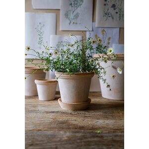 Bergs Potter Flora pot raw terracotta rosa CHOOSE SIZE