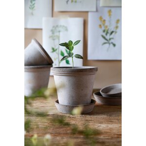 Bergs Potter Flora pot raw terracotta grey CHOOSE SIZE