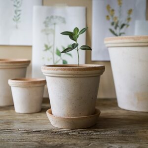 Bergs Potter Flora saviruukku rosa - VALITSE KOKO
