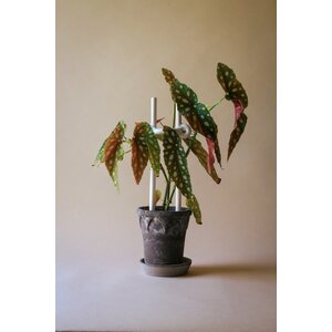 Bergs Potter Folk Hinto plant stake CHOOSE COLOUR