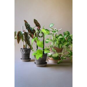 Bergs Potter Folk Yuma plant stake CHOOSE COLOUR