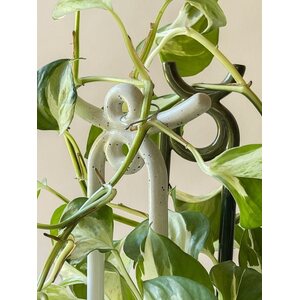 Bergs Potter Folk Yuma plant stake CHOOSE COLOUR