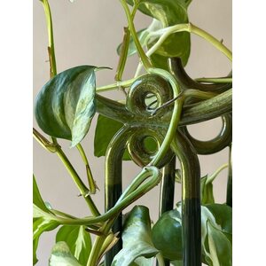 Bergs Potter Folk Yuma plant stake CHOOSE COLOUR
