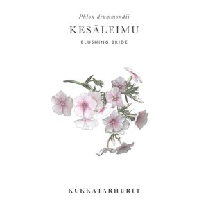 Kukkatarhurit Kesäleimu Blushing Bride