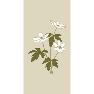 Ib Laursen Valkovuokot servetit 16 kpl/pkt 40 x 40 cm