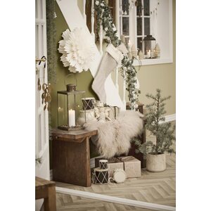 Ib Laursen Cedar tree in a pot - CHOOSE SIZE