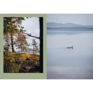 Cozy Publishing Mökkiruokaa läpi vuoden