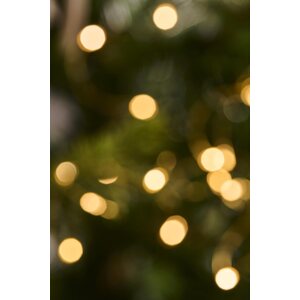 Ib Laursen Wire string lights with 20 LED lights, outdoor