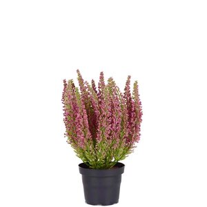 Mr Plant Kanerva 28 cm, punainen