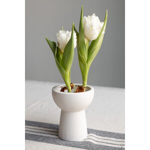 Storefactory Leryd hyasinttivaasi 10 x 12 cm - VALITSE VÄRI