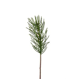 Mr Plant Havu 26 cm