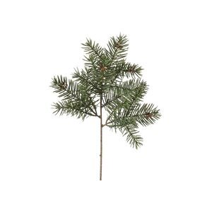 Mr Plant Havunoksa 30 cm