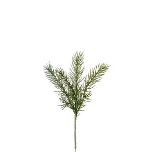 Mr Plant Havunoksa 30 cm