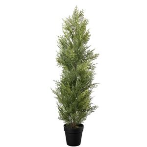 Mr Plant Sypressi 95 cm