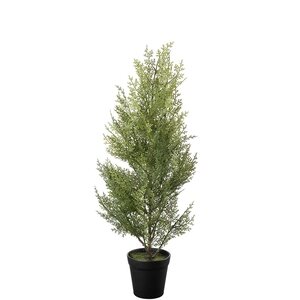 Mr Plant Sypressi 65 cm