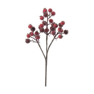 Mr Plant Huurteinen ruusunmarjaoksa 38 cm