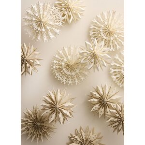 Bungalow Paper Star Glacia Ø20cm,
Stone