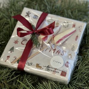 Lahjapakkaus servetit ja 2 kpl polkatikkari