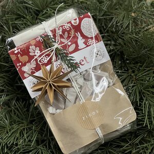 Lahjapakkaus jouluterveiset