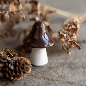 Storefactory Bosten sieni 4 x 5,5 cm - VALITSE VÄRI