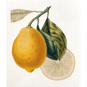 Sköna Ting Tiskirätti sitruunat