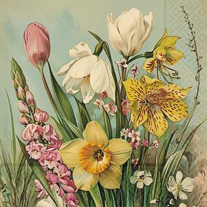 Sköna Ting kukkaservetit 33 x 33 cm 20 kpl/pkt