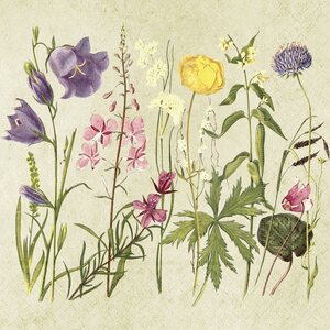 Sköna Ting kesäkukat servetit 33 x 33 cm 20 kpl/pkt