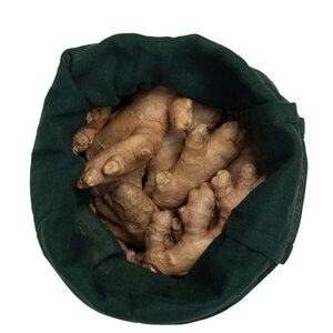 The Organic Company M kestopussi 24 x 30 cm, vihreä