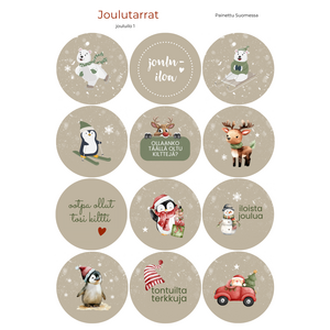 Joulutarrat 12 kpl, jouluilo 1