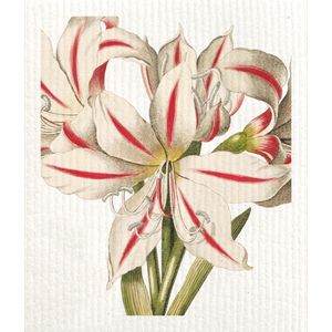 Sköna Ting tiskirätti amaryllis