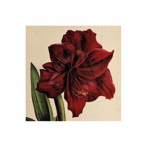 Sköna Ting amaryllis punainen servetit 33 × 33 cm, 20 kpl/pkt