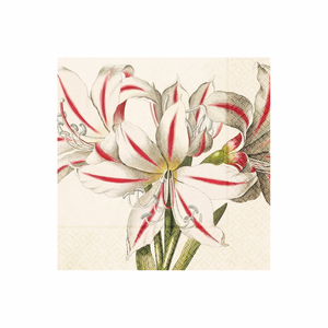 Sköna Ting Amaryllis valkoinen servetit 33 × 33 cm, 20 kpl/pkt