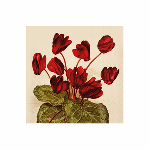 Sköna Ting syklaami servetit 33 × 33 cm, 20 kpl/pkt