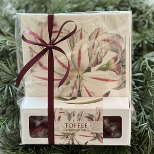 Sköna Ting lahjapakkaus - piparminttutoffeet ja tiskirätti, amaryllis