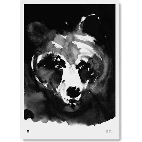 Teemu Järvi Salaperäinen karhu juliste 50 x 70 cm