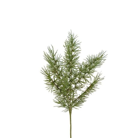 Mr Plant Lehtikuusen oksa 50 cm