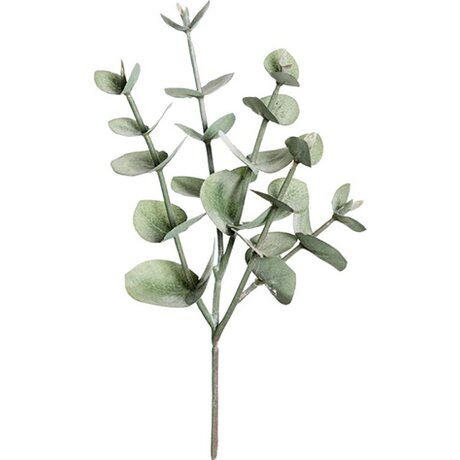 Mr Plant Eucalyptuksen oksa 24 cm