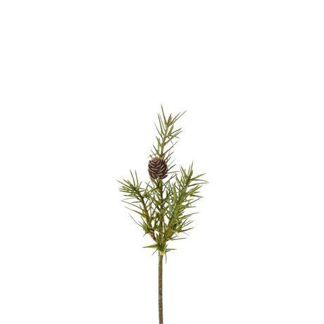 Mr Plant spruce branch with cone 20 cm