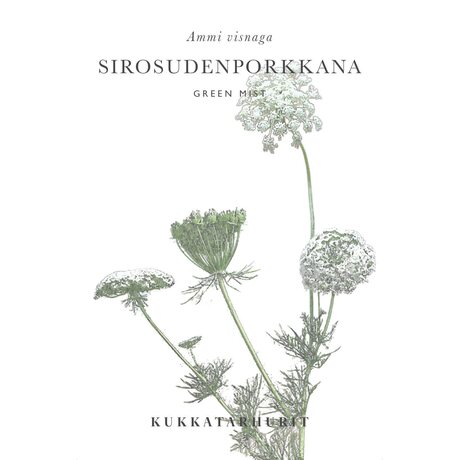 Kukkatarhurit Sirosudenporkkana Green Mist