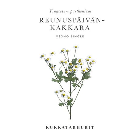 Kukkatarhurit Reunuspäivänkakkara Vegmo Single