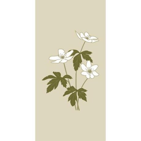 Ib Laursen Anemones napkin 16 pcs/pkt 40 x 40 cm