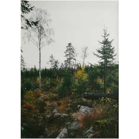 Fine Little Day Norrland juliste 50 x 70 cm