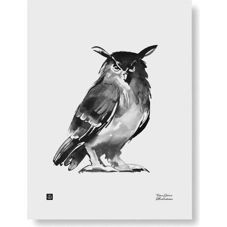Teemu Järvi Huuhkaja juliste 30 x 40 cm