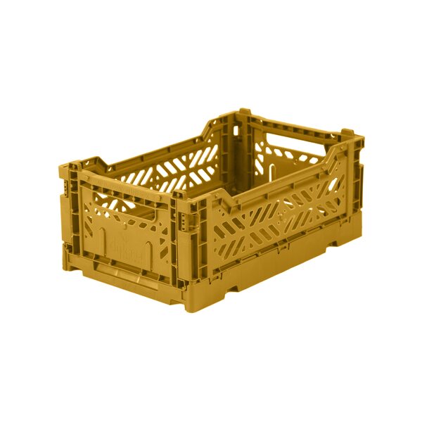 Aykasa Minikori, mustard