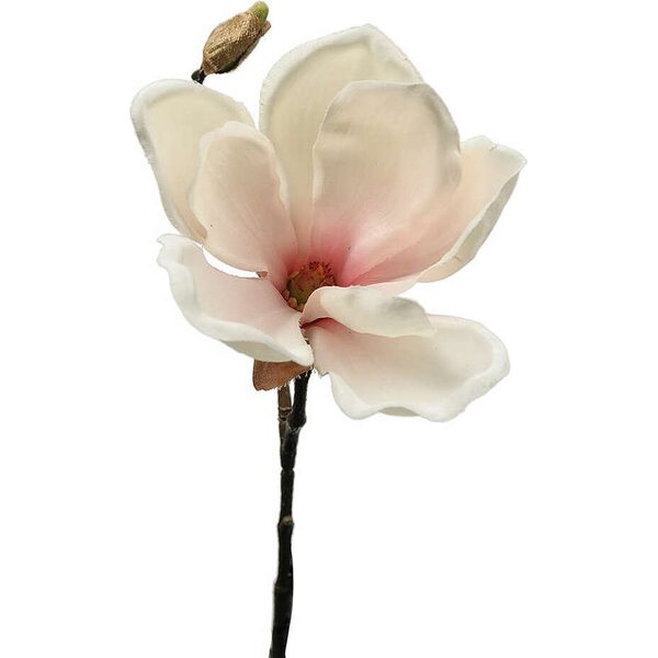 Mr Plant Magnolian oksa 30 cm, valkoinen/roosa